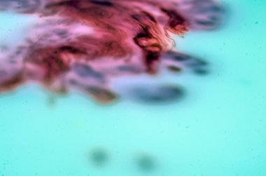 boya ile kimyasal deney