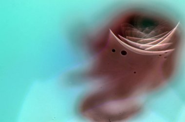 boya ile kimyasal deney