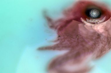 boya ile kimyasal deney