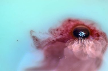 boya ile kimyasal deney