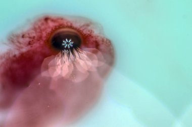 boya ile kimyasal deney