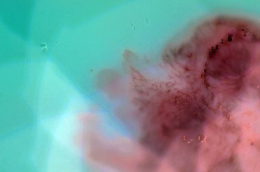 boya ile kimyasal deney