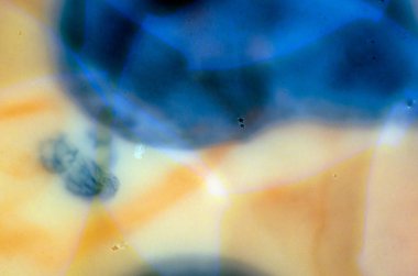 boya ile kimyasal deney