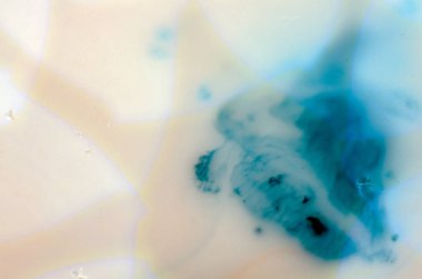 boya ile kimyasal deney