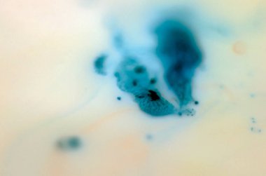 boya ile kimyasal deney