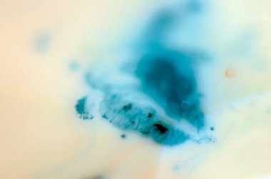 boya ile kimyasal deney