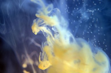 boya ile kimyasal deney