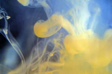 boya ile kimyasal deney