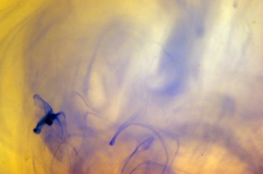 boya ile kimyasal deney