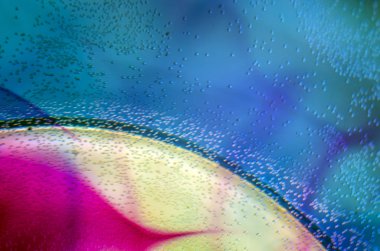 boya ile kimyasal deney