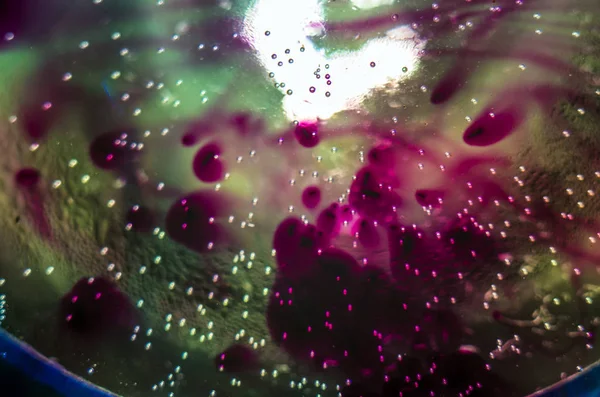 boya ile kimyasal deney