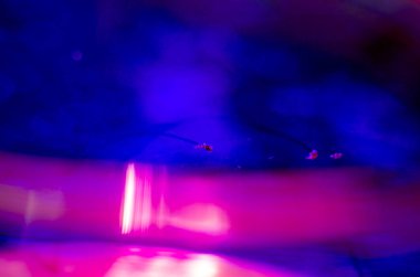 boya ile kimyasal deney