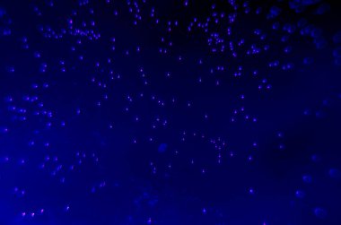 boya ile kimyasal deney