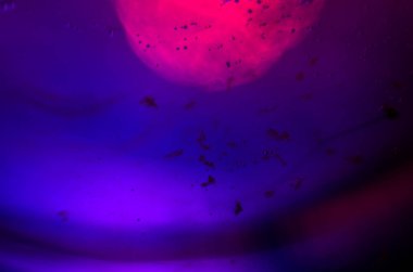 boya ile kimyasal deney