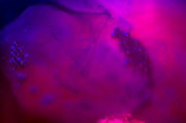 boya ile kimyasal deney