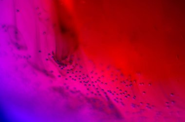 boya ile kimyasal deney