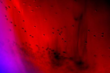 boya ile kimyasal deney