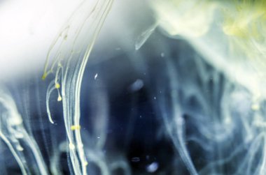 boya ile kimyasal deney