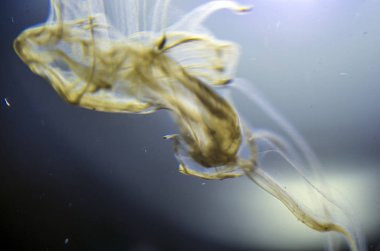 boya ile kimyasal deney