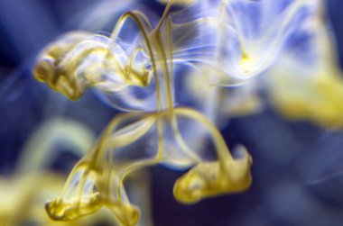 boya ile kimyasal deney