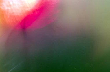 boya ile kimyasal deney