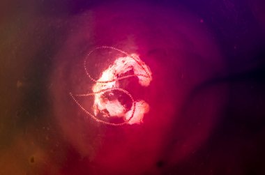 boya ile kimyasal deney