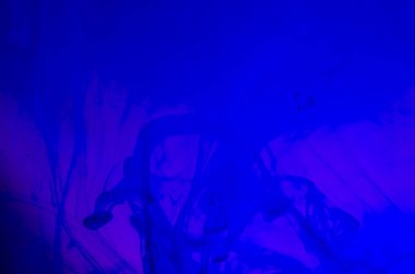 boya ile kimyasal deney