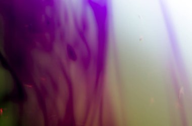 boya ile kimyasal deney