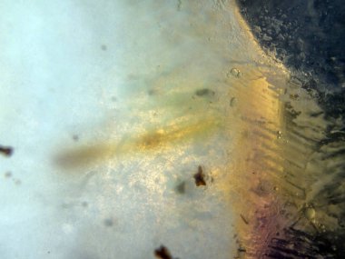 boya ile kimyasal deney