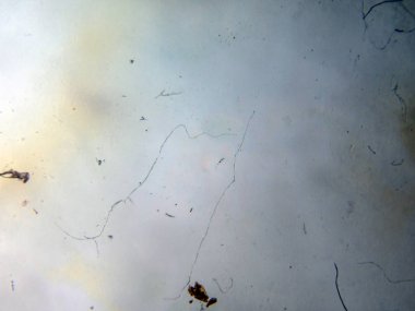 boya ile kimyasal deney