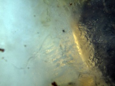 boya ile kimyasal deney