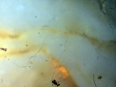 boya ile kimyasal deney