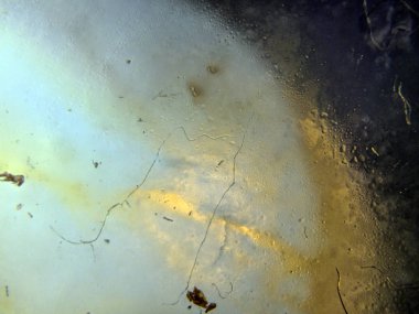 boya ile kimyasal deney