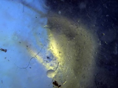 boya ile kimyasal deney