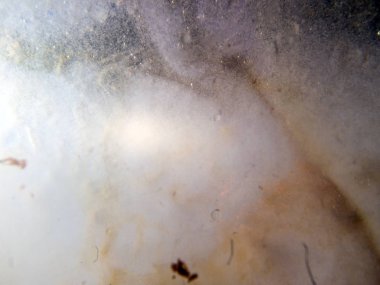 boya ile kimyasal deney