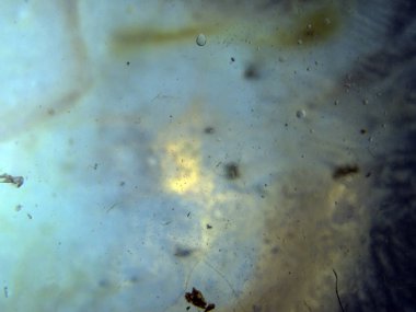 boya ile kimyasal deney