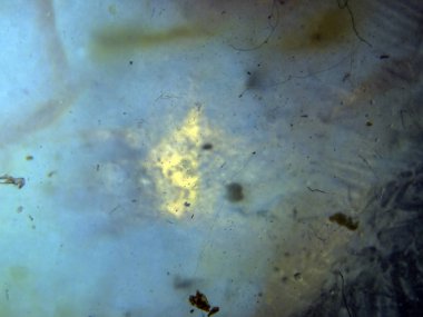 boya ile kimyasal deney