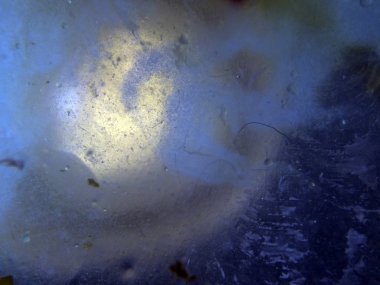 boya ile kimyasal deney