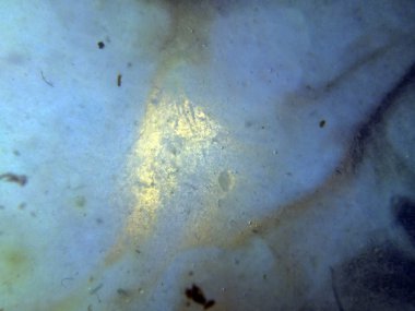 boya ile kimyasal deney