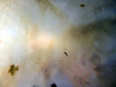 boya ile kimyasal deney