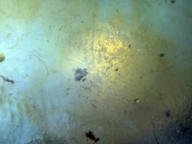 boya ile kimyasal deney