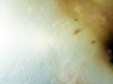 boya ile kimyasal deney