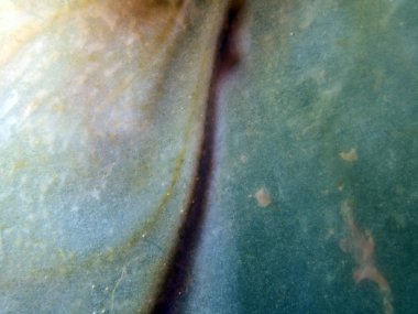 boya ile kimyasal deney