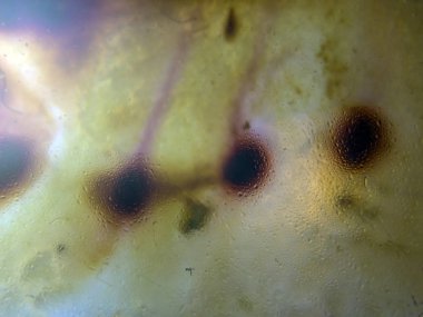 boya ile kimyasal deney