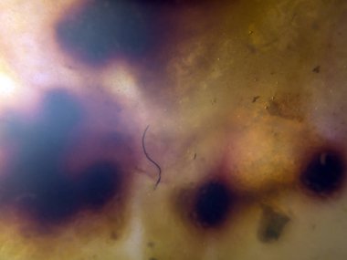 boya ile kimyasal deney