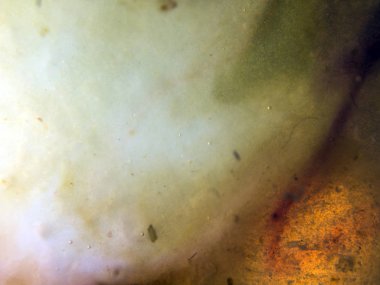 boya ile kimyasal deney