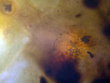 boya ile kimyasal deney