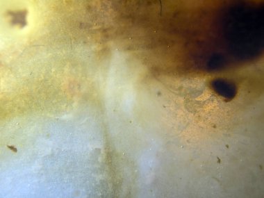 boya ile kimyasal deney