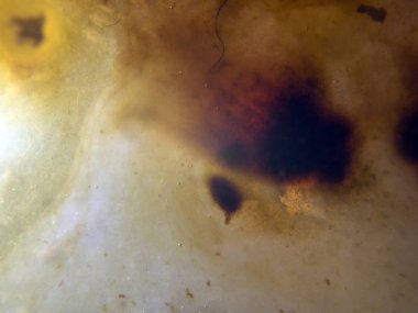 boya ile kimyasal deney