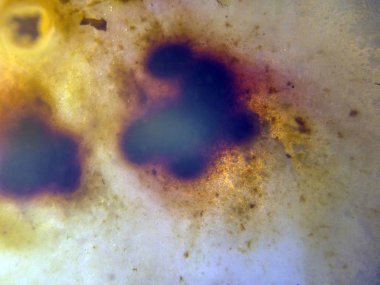 boya ile kimyasal deney